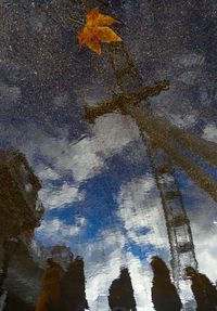 Reflection of trees in puddle during winter