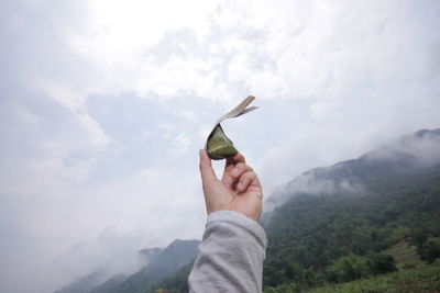 Person holding umbrella against mountain