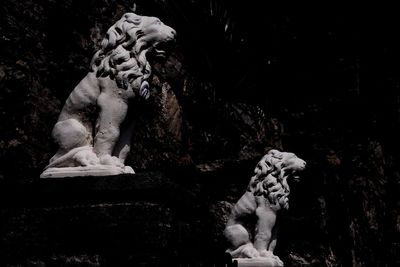 Close-up of statue against rock at night