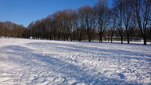 Trees on snow field against sky during winter