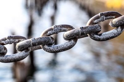 Close-up of chain link fence