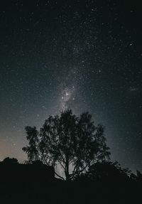 Low angle view of silhouette trees against sky at night