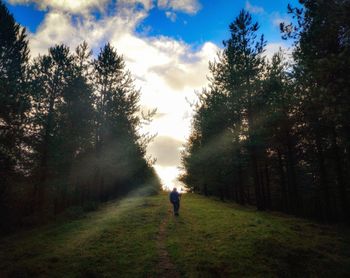 Rear view of person walking on land against sky