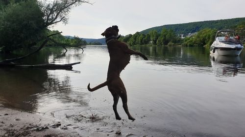 Full length of man on beach against sky