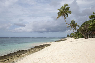 Leaning palm trees at white sand tropical beach with some limerock