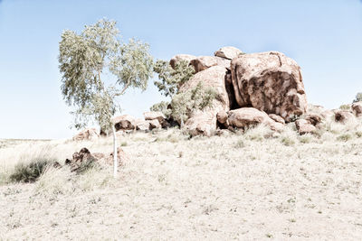 Rocks on field against clear sky