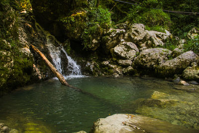 Scenic view of waterfall in forest