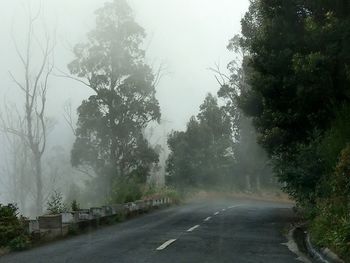 Road amidst trees against sky during rainy season