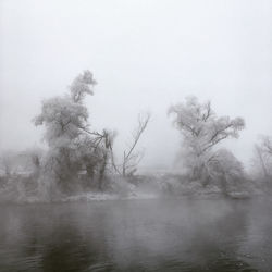 Scenic view of trees against sky during foggy weather