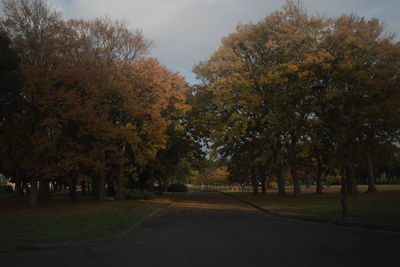 Road amidst trees against sky during autumn