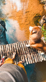 Low section of man relaxing by water