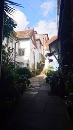 Plants and houses against sky