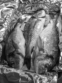 High angle view of fish for sale in market