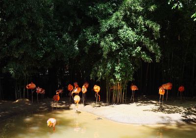 Group of people in the lake