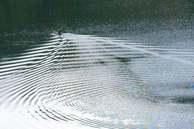 High angle view of man walking on road