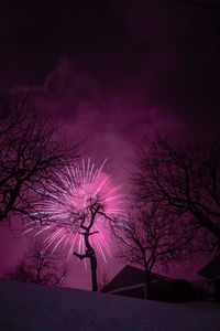 Silhouette trees against purple sky at night