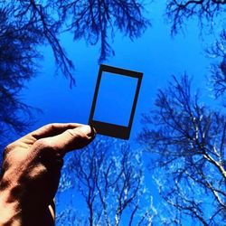 Low angle view of hand holding plant against blue sky