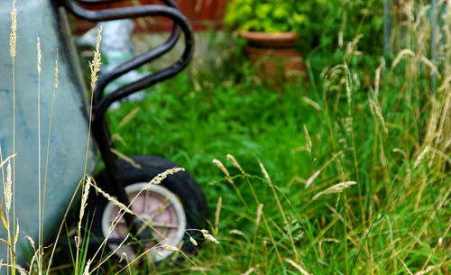 Wheelbarrow on grassy field at park