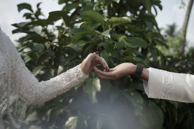 Cropped hand of man holding plant