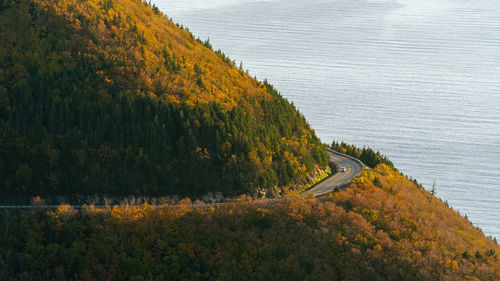 High angle view of cabot trail amidst trees during autumn, cape breton island, nova scotia, canada