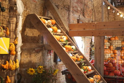 View of flowering plants on wooden floor