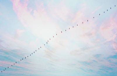 Low angle view of birds flying against sky