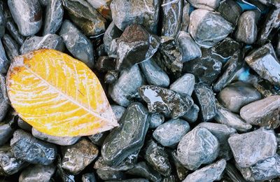 High angle view of pebbles on rock