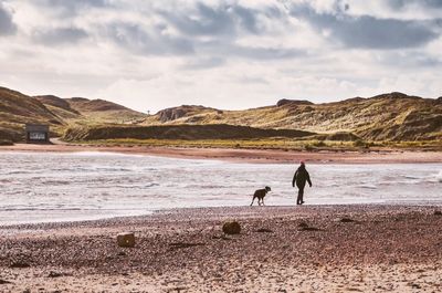 Dog on landscape against sky