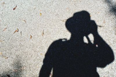 Shadow of man on sand