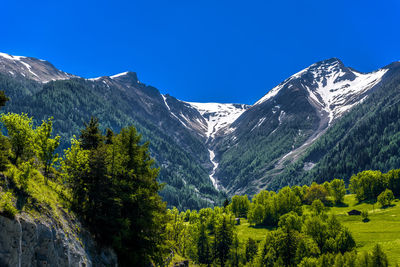 Scenic view of snowcapped mountains against clear blue sky