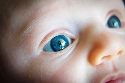 Close-up of baby boy eyes