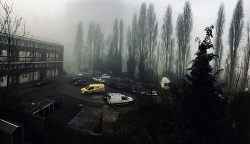 High angle view of trees in city during rainy season