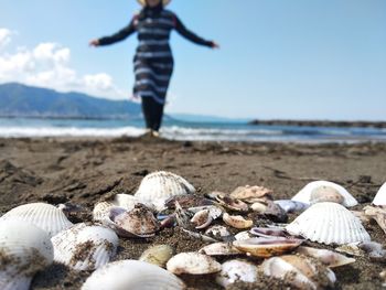 Surface level of shells on beach against sky