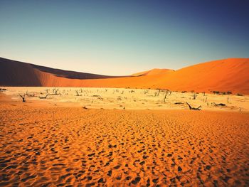 Scenic view of desert against clear sky