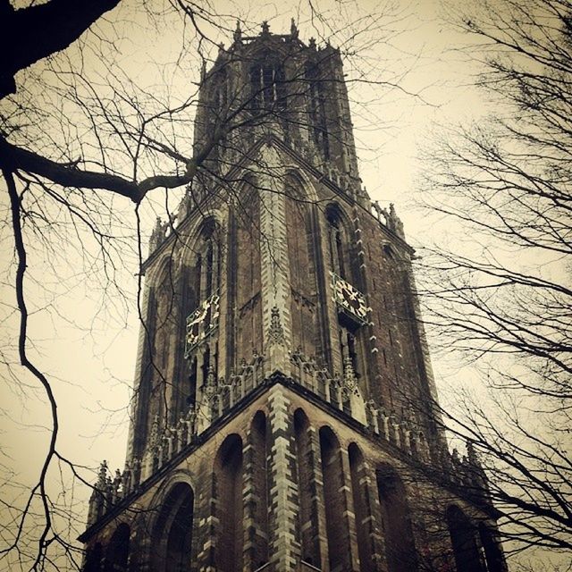 architecture, building exterior, built structure, low angle view, church, religion, tower, place of worship, spirituality, bare tree, tree, tall - high, sky, cathedral, clock tower, history, travel destinations, branch