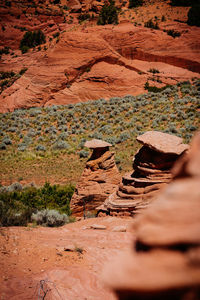 Aerial view of desert