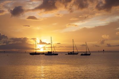 Sailboats sailing on sea against sky during sunset