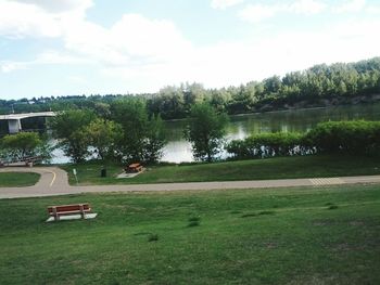 Trees on grassy field