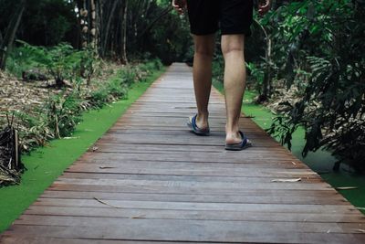 Low section of man walking on footpath in park