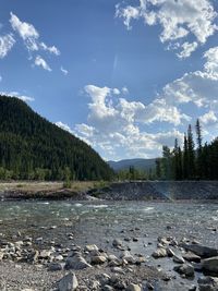 Scenic view of forest against sky