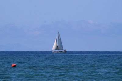 White sail boat view from the beach
