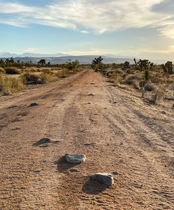 Dirt road on field against sky