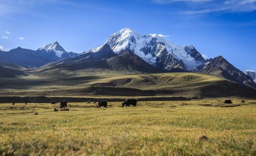 Scenic view of field and mountains against sky