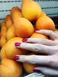 Cropped hand on plums at market stall