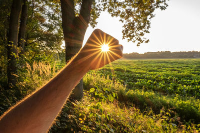 Sun rays caught by hand