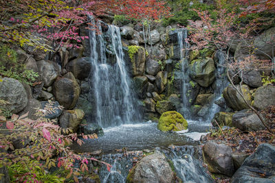 View of waterfall in forest