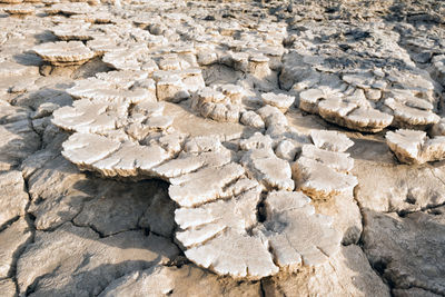 Full frame shot of rocks on shore