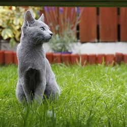 Rabbit on grassy field