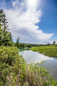 Scenic view of lake against sky