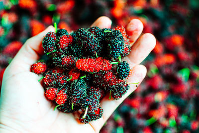 Close-up of hand holding berries